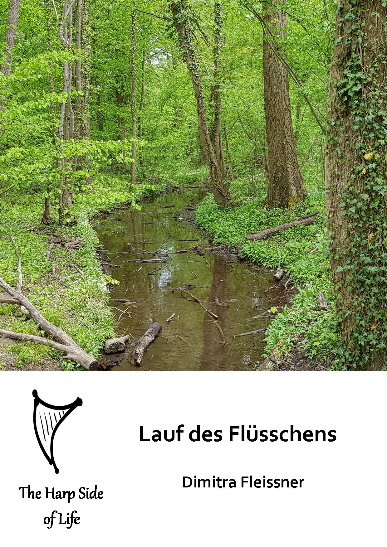 LaufFluesschen LaufFluesschen