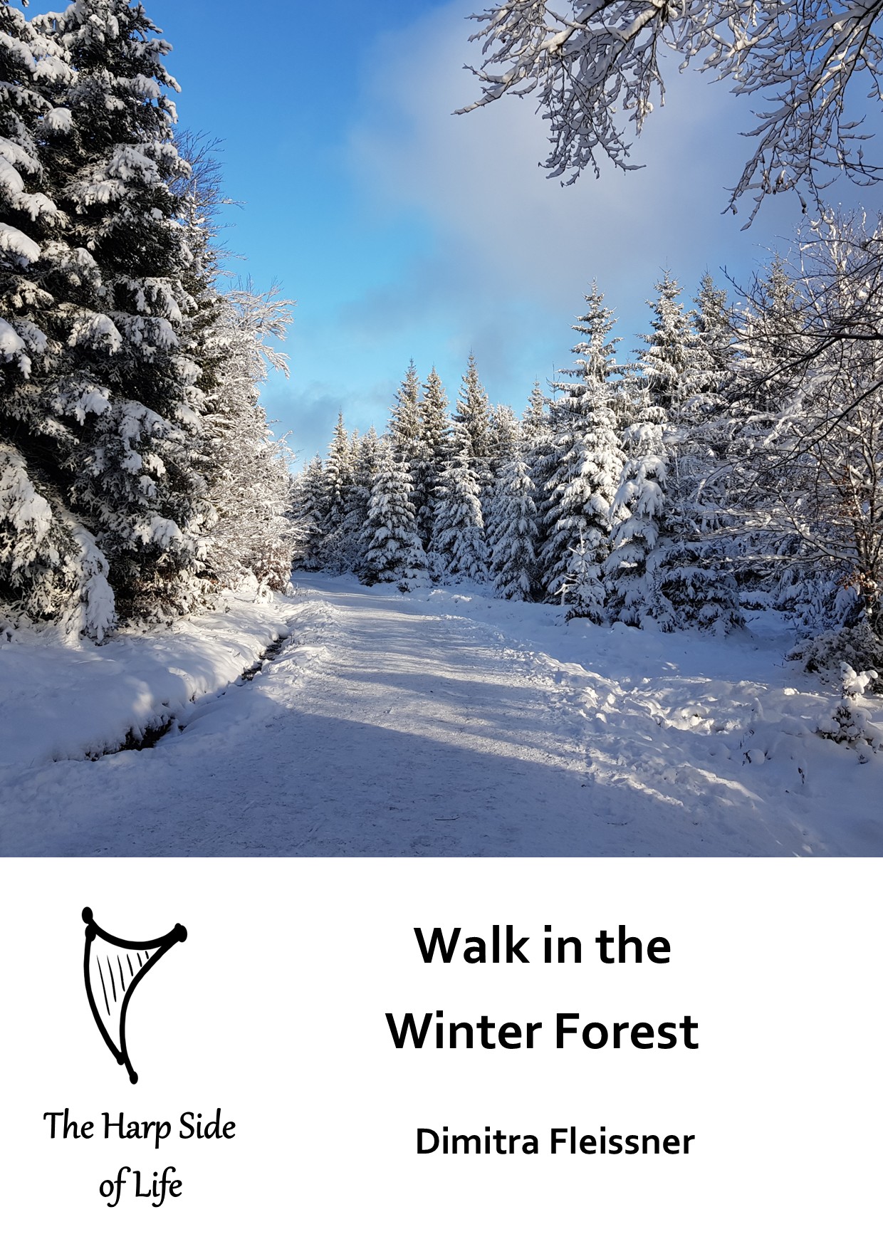 WalkInTheWinterForrest3